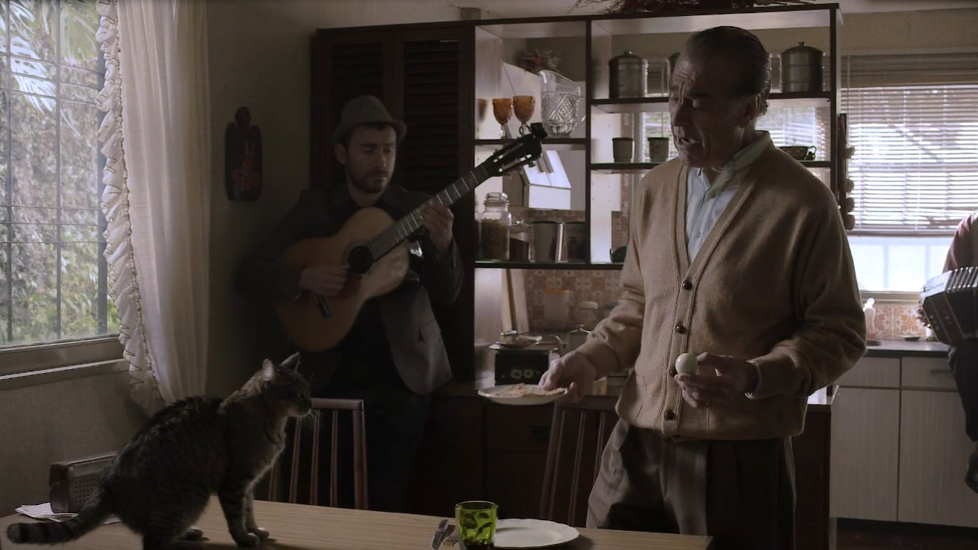 PURINA CAT CHOW 7 Historias Abel