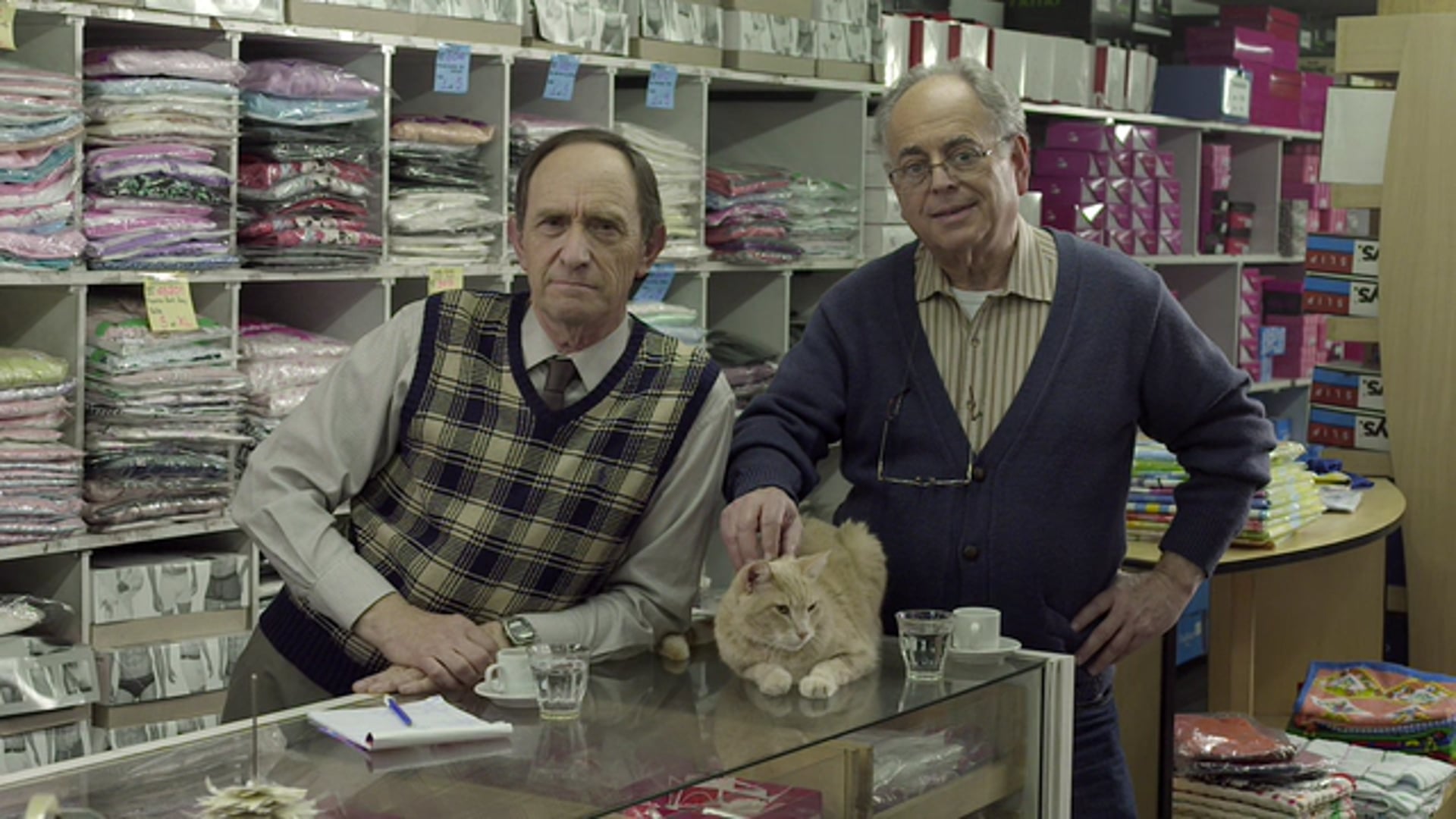 PURINA CAT CHOW 7 Historias Goldi